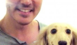 外国明星拜年视频,外国明星拜年视频大盘点